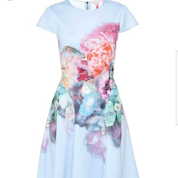 ted baker fit and flare